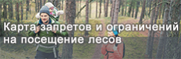 Карта запретов и ограничений на посещение лесов