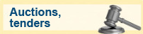 Auctions, tenders